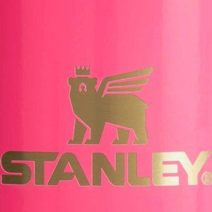 Stanley pink parade 40oz